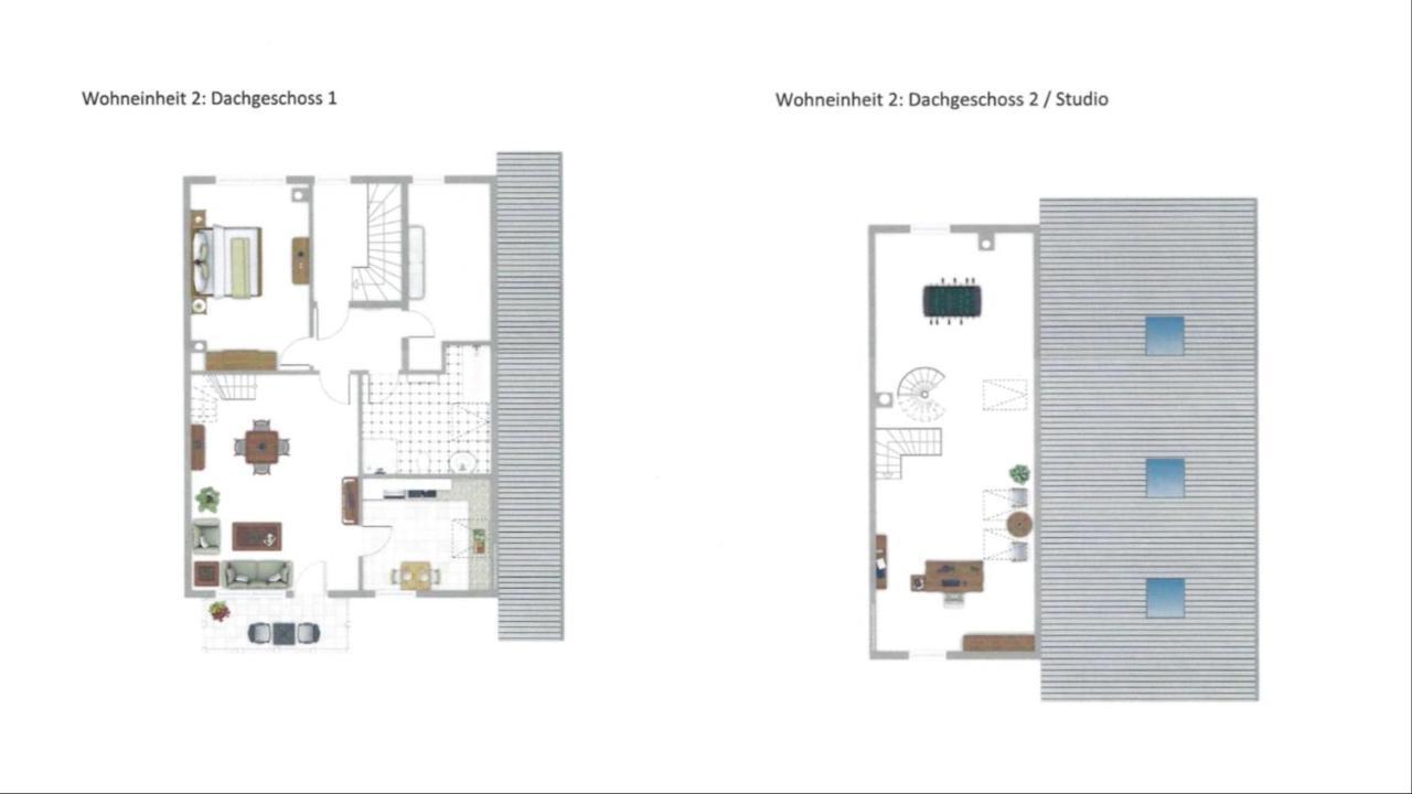 Brulaire Buesingen Am Hochrhein Apartment Ngoại thất bức ảnh